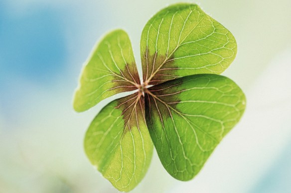 Four Leaf Clover