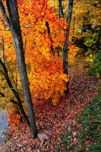 New England Fall Color