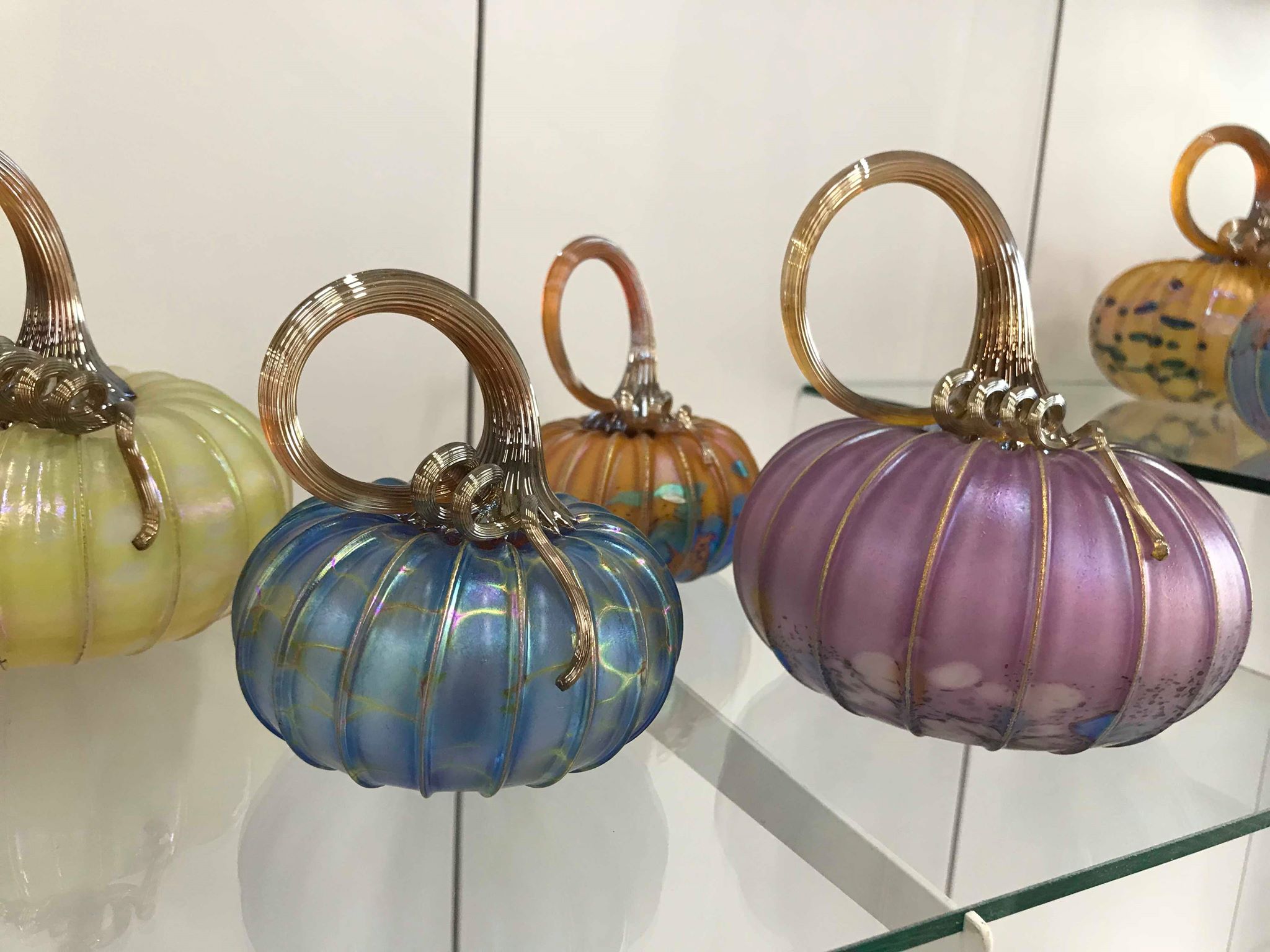 multi color pumpkin group