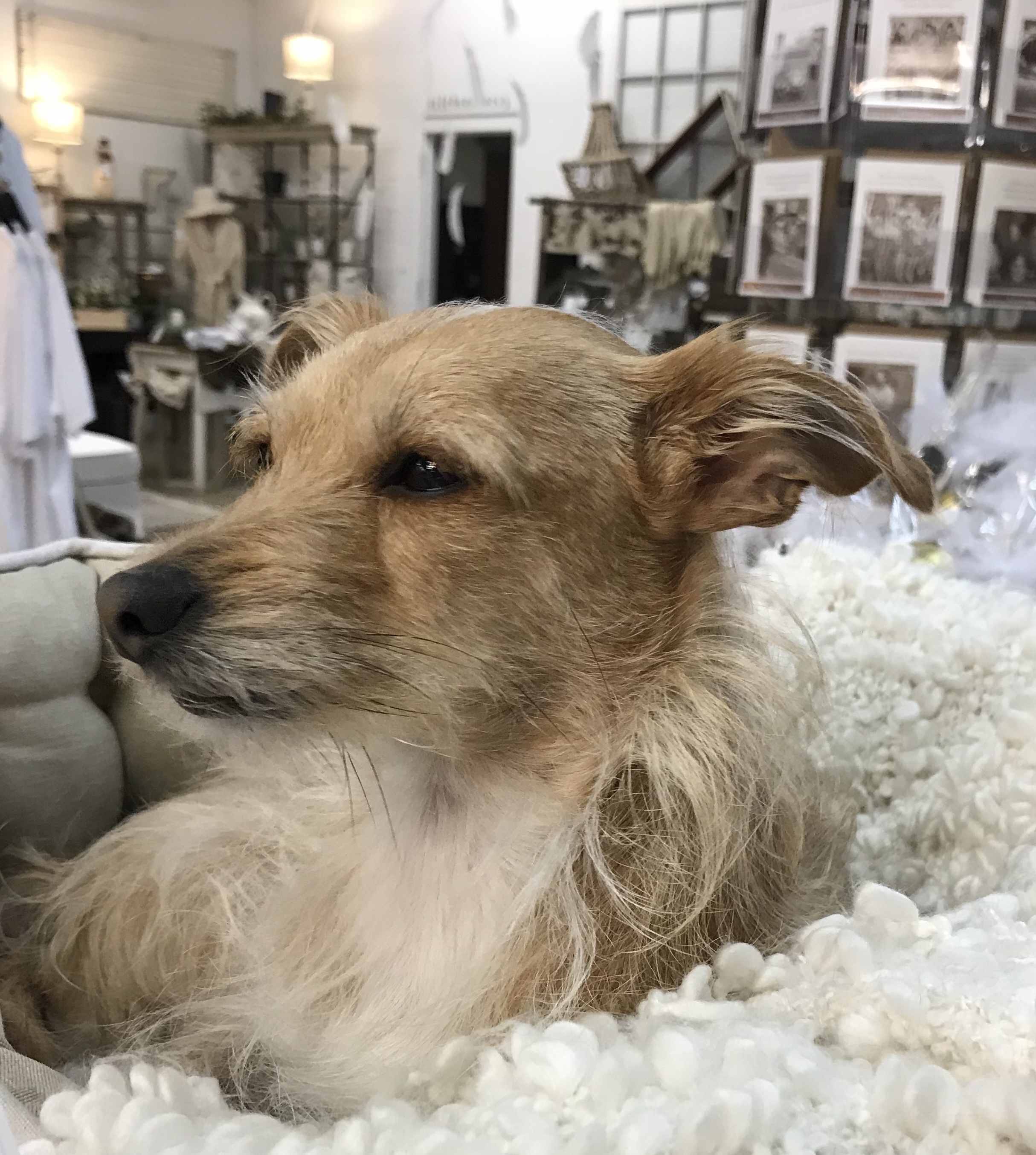 1D4F8768-A1DC-419C-BCB9-9D82B4C2E06A