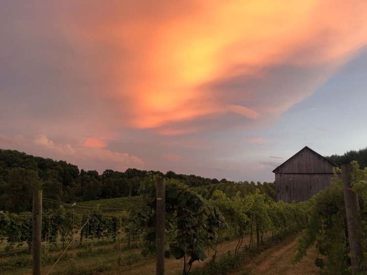 116061571_449888325974325_8736316907901386237_n